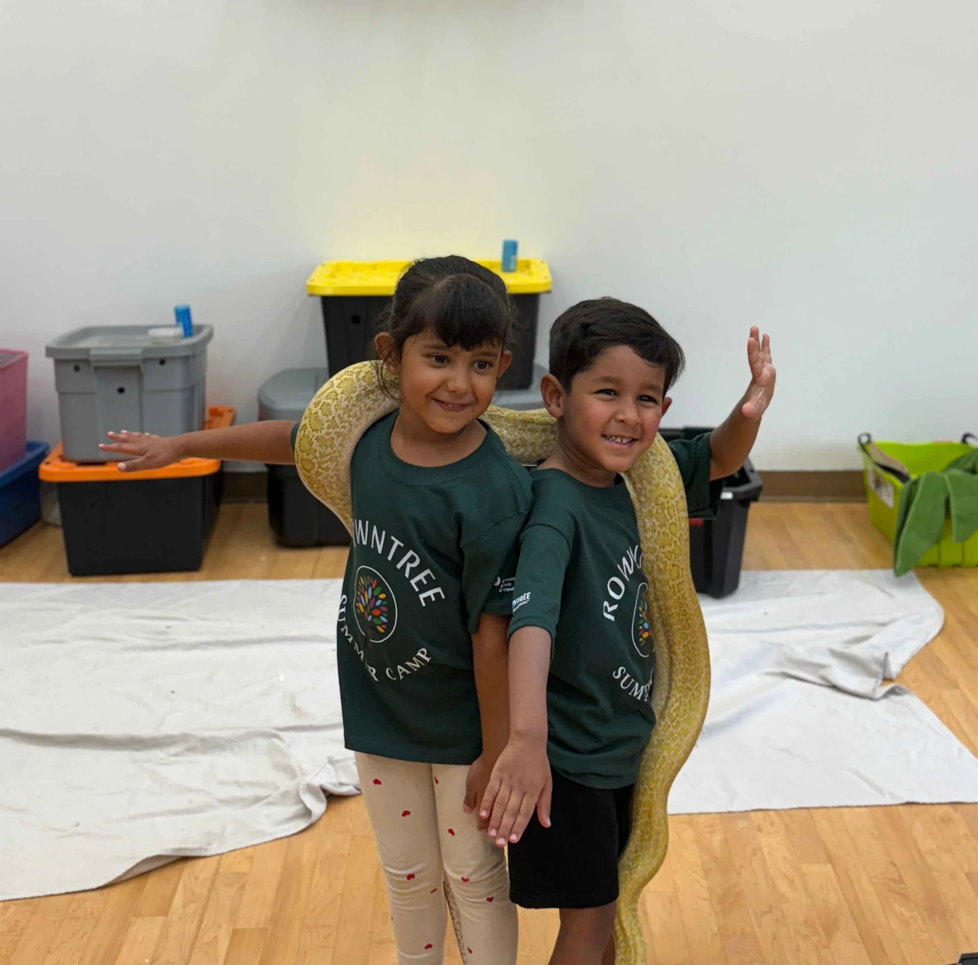 Little Nature Scientists